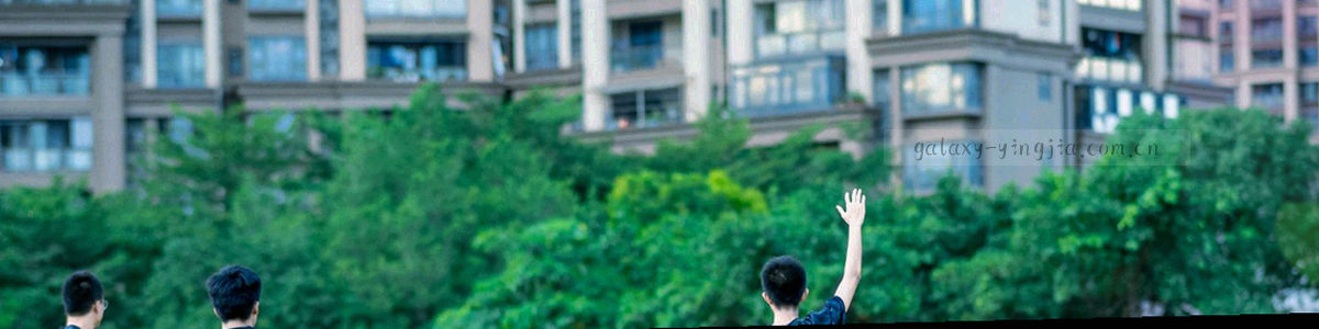 点状网格与波纹线条构成的数据纹理
